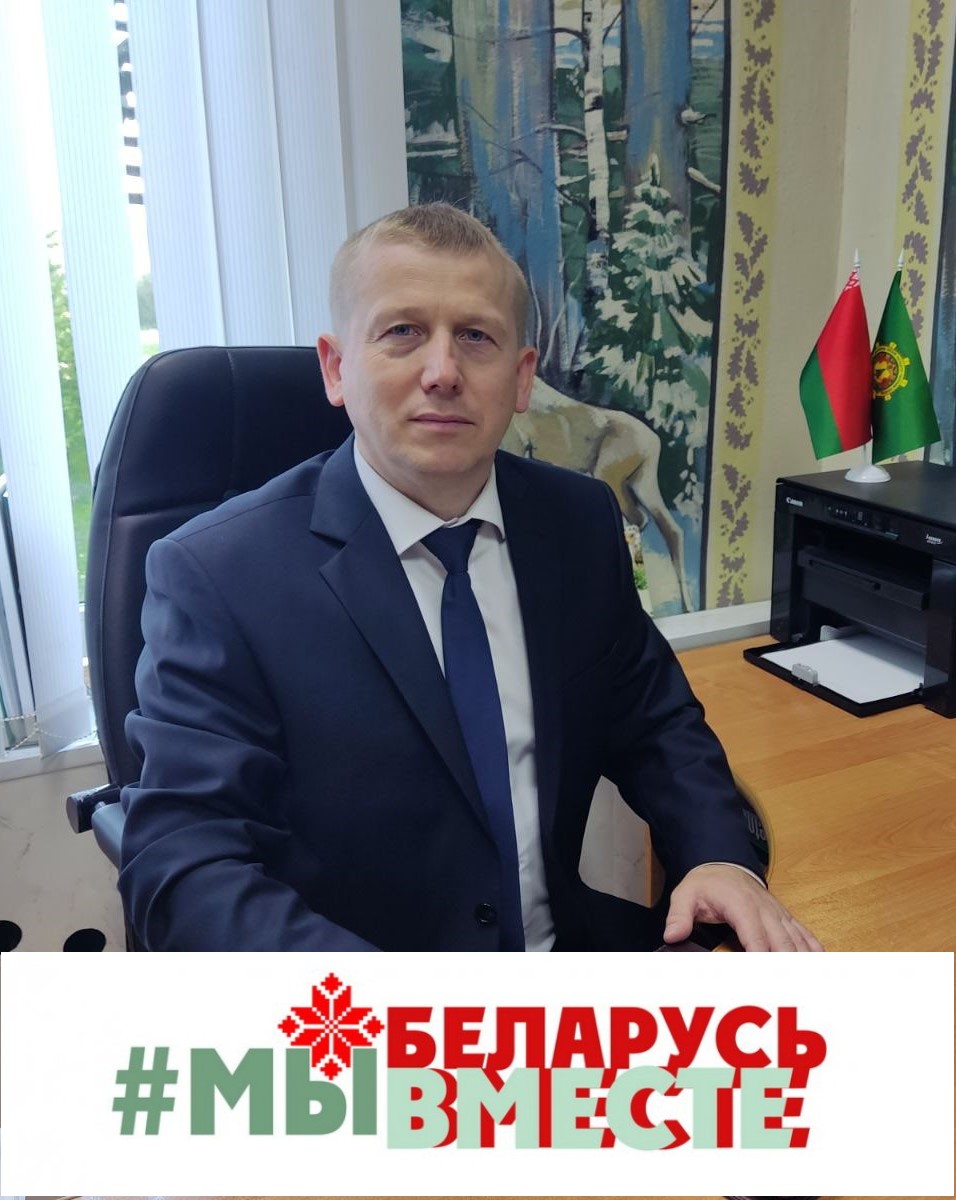 Наш общий зеленый дом: что значит День народного единства для лесоводов Чериковщины