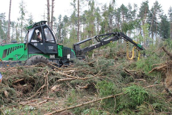 Мастера «лесных кораблей»: Рассказываем об операторах лесозаготовительной техники Чериковского лесхоза. Кто они?